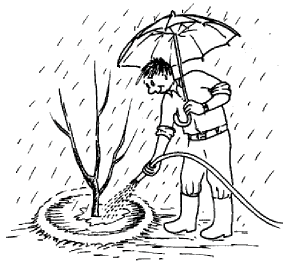 Auch bei Regenwetter gießen