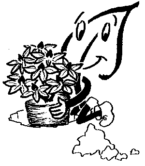 Rhododendron pflanzen