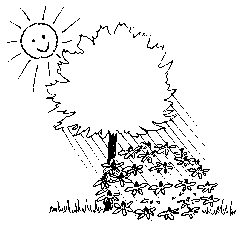 Rhododendron pflanzen