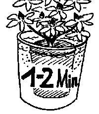 Rhododendron pflanzen