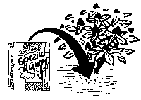 Rhododendron pflanzen