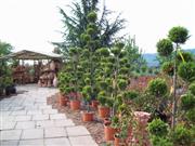 Mediterraner Bereich 3