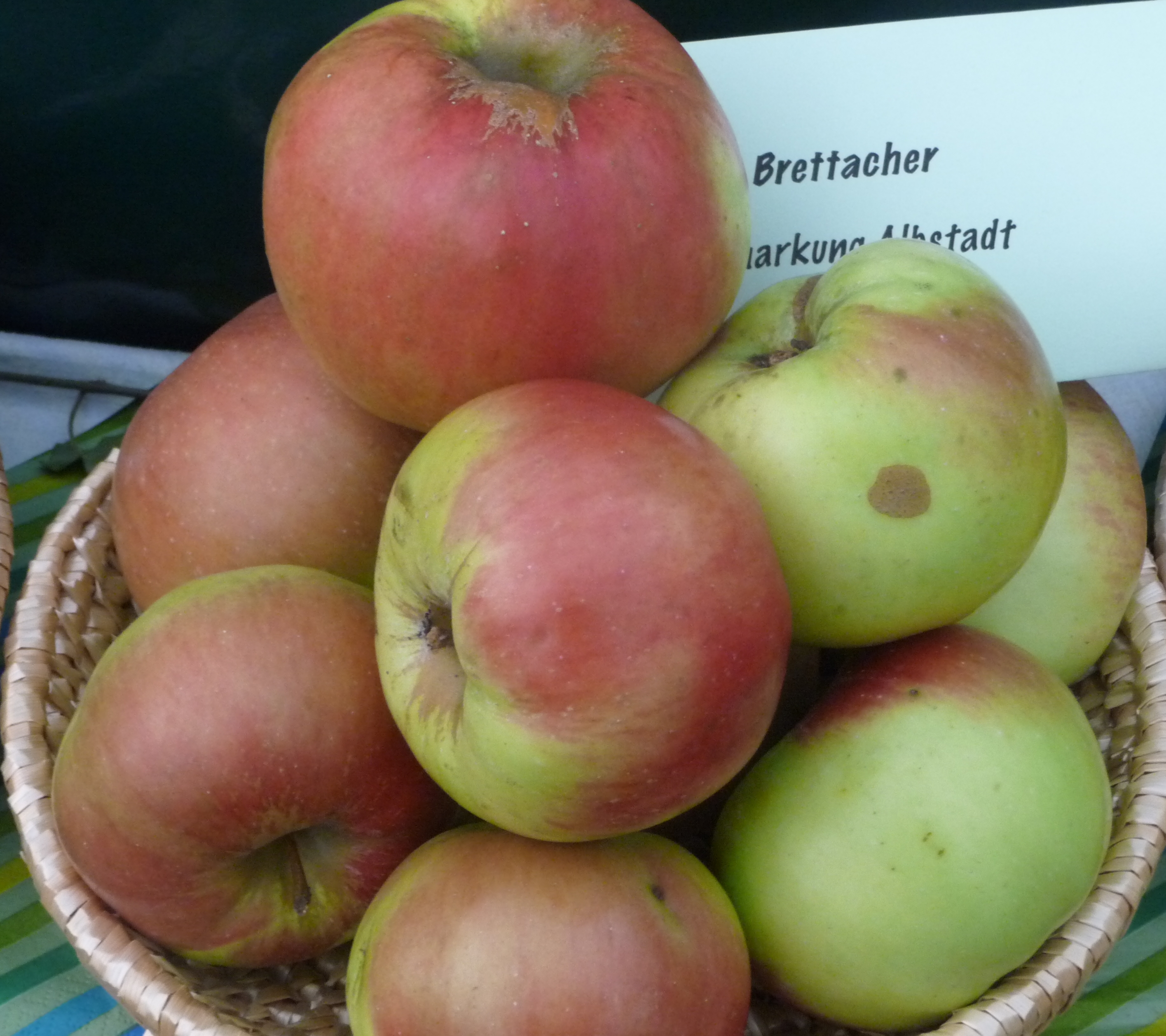 Malus 'Brettacher Gewürzapfel'