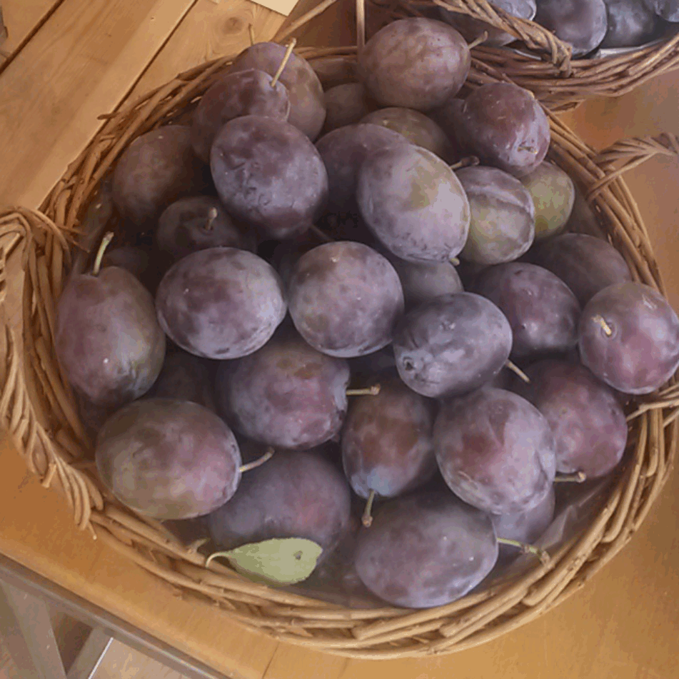 Prunus dom. 'Hanita'