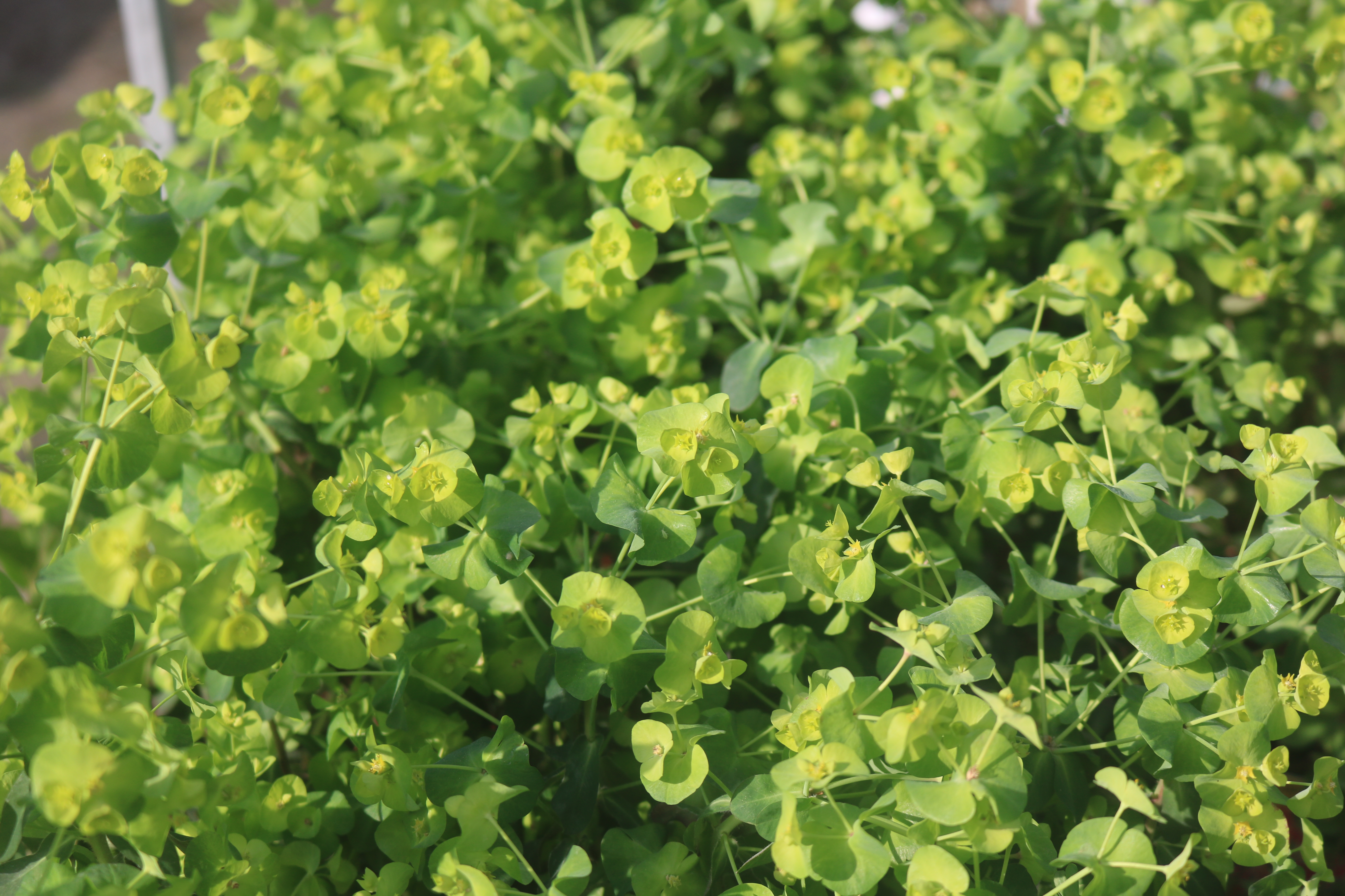 Keine Abbildung zugeordnet