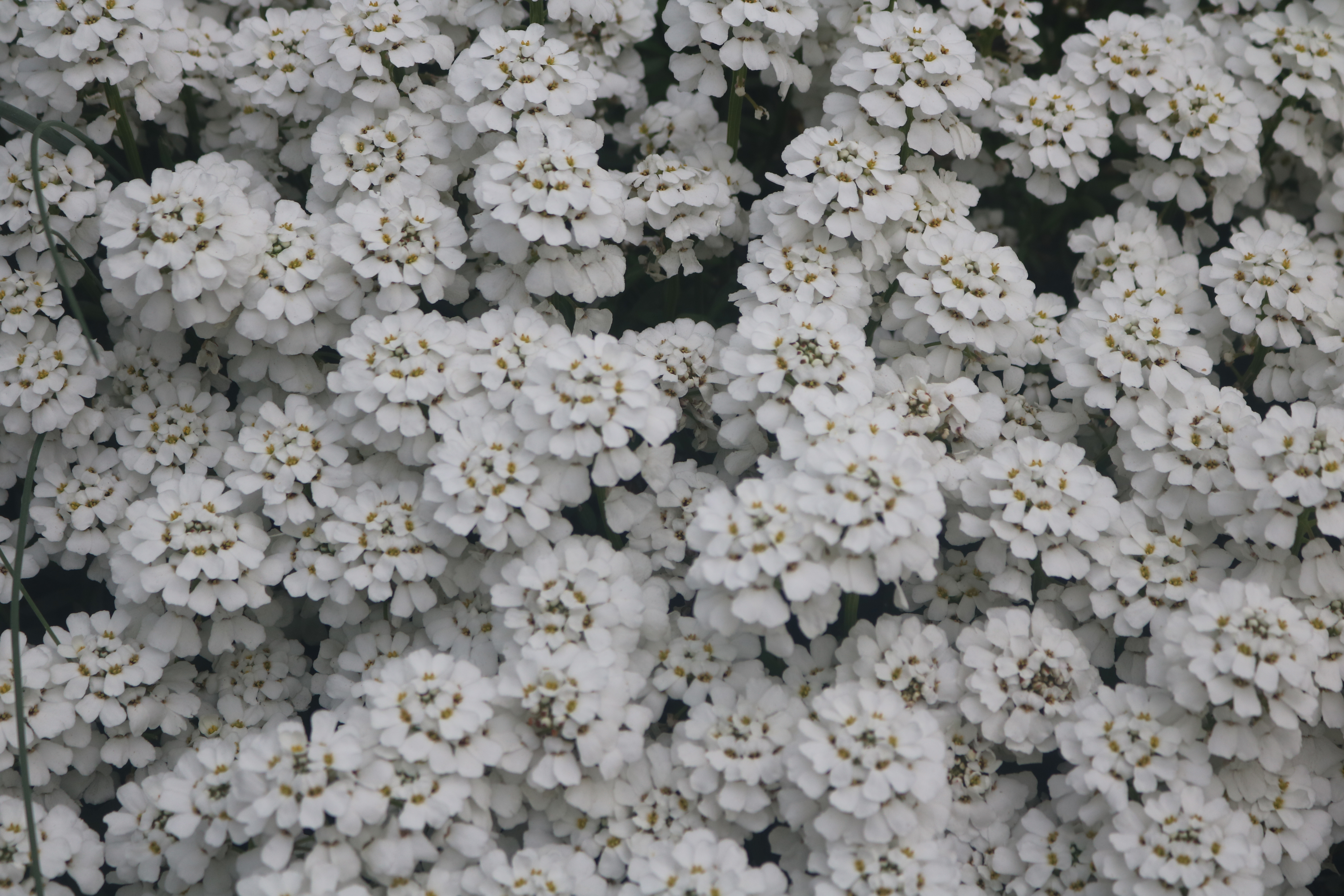 Keine Abbildung zugeordnet