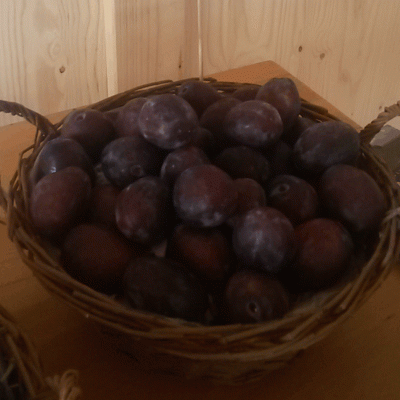 Prunus dom. 'Katinka'