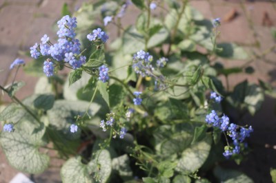 Keine Abbildung zugeordnet 