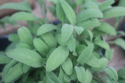 Keine Abbildung zugeordnet 