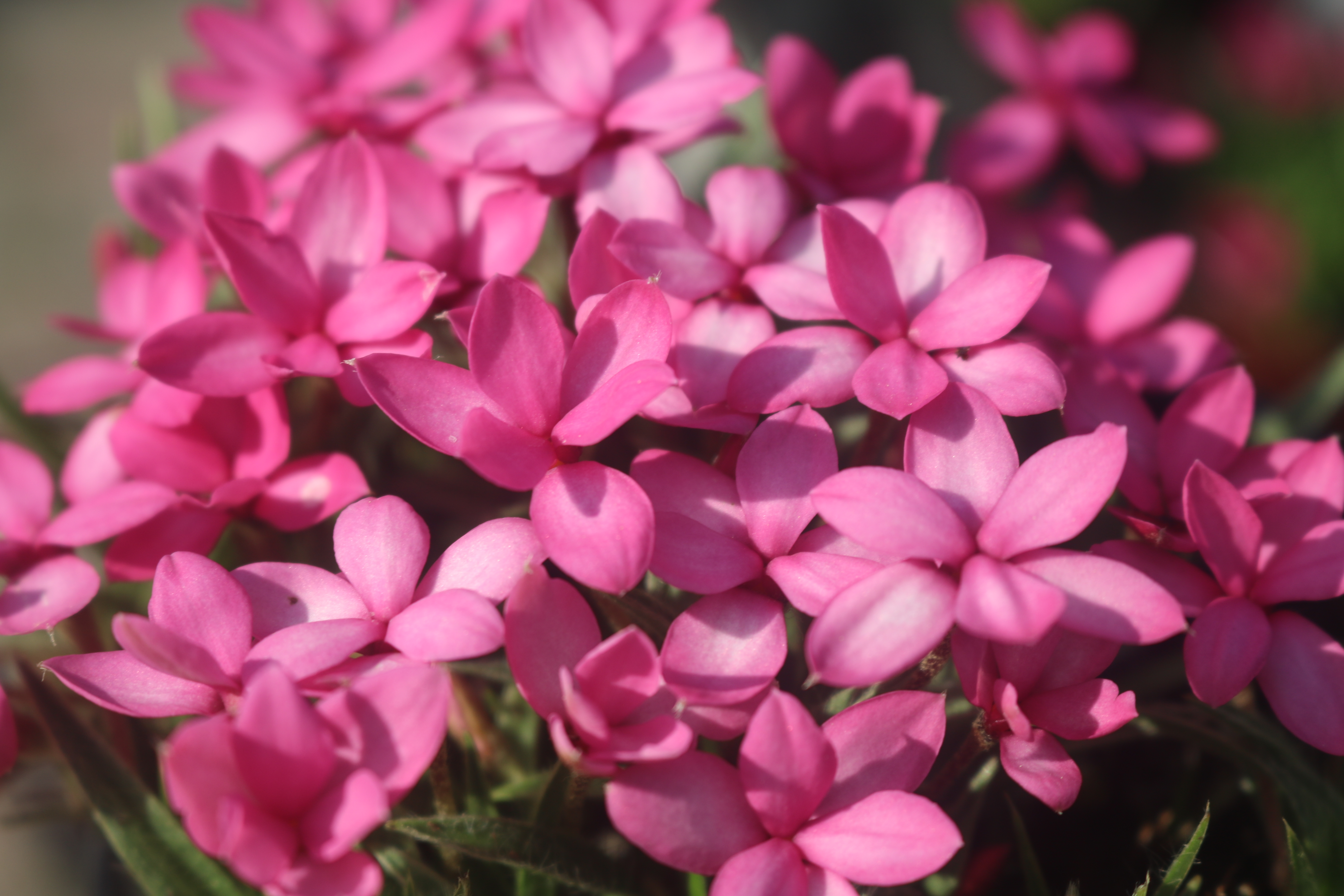 Keine Abbildung zugeordnet