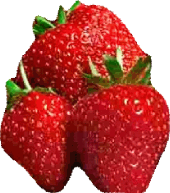 Erdbeeren